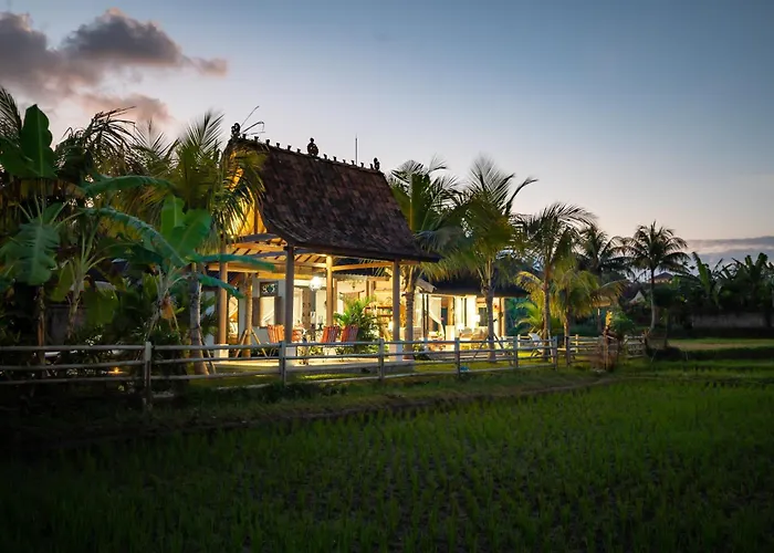 Kelapa Di Sawah By Travellink Bali Villa *