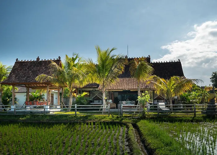 Villa Kelapa Di Sawah By Travellink Bali